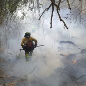Los efectivos siguen trabajando en el incendio de Pujerra