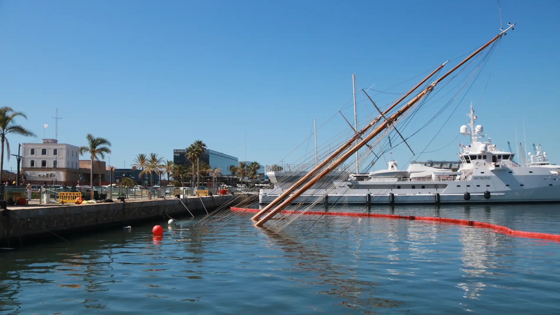 Iot enfonsat al port de Tarragona 