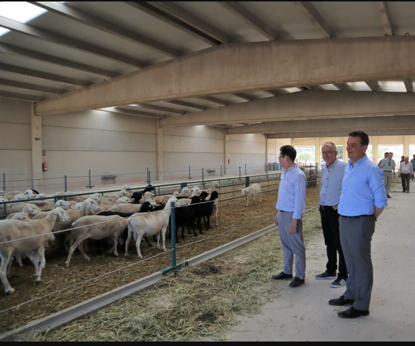 Martínez Arroyo: "No son la solución para todos", pero se han tomado medidas para garantizar la rentabilidad del sector ganadero Martínez Arroyo: "No son la solución para todos", pero se han tomado medidas para garantizar la rentabilidad del sector ganadero