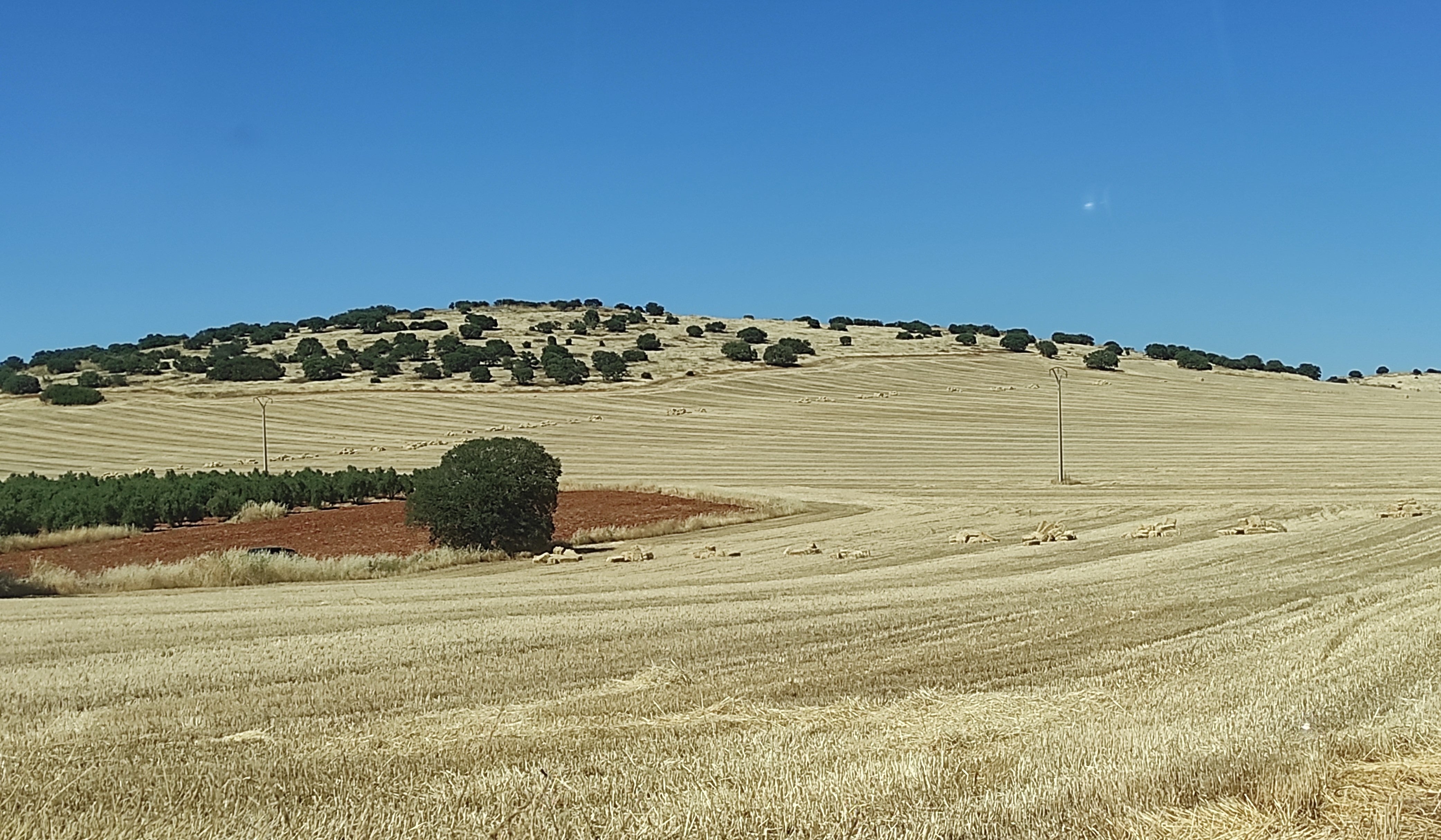 El calor adelanta la siega del cereal en la provincia de Ciudad Real El calor adelanta la siega del cereal en la provincia de Ciudad Real