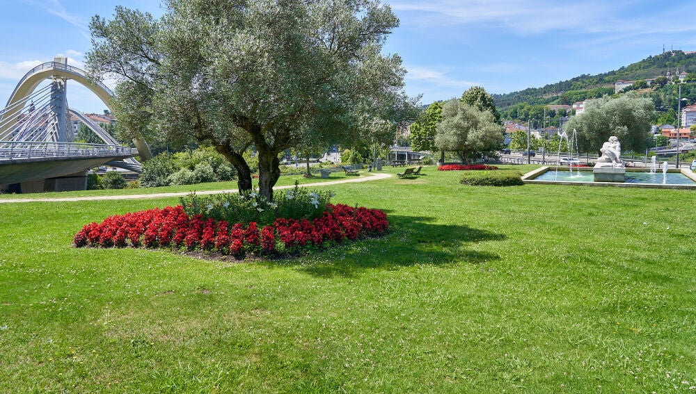  O Concello de Ourense embelece a cidade con máis de 22.500 novas plantas de temporada