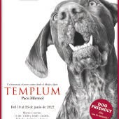 Cartel de la exposición 'Templum'