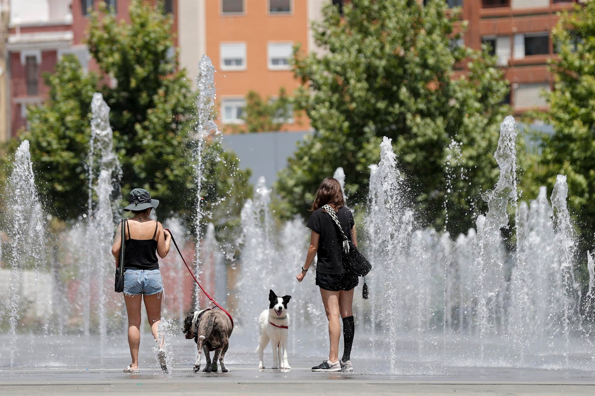 Cuidado con estas seis enfermedades asociadas al calor: estos son sus síntomas Cuidado con estas seis enfermedades asociadas al calor: estos son sus síntomas