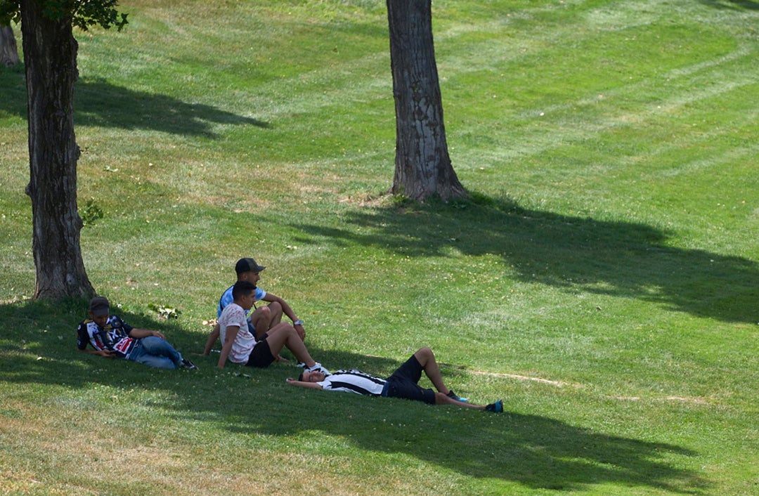 Ola de calor: cuándo van a bajar las temperaturas Ola de calor: cuándo van a bajar las temperaturas