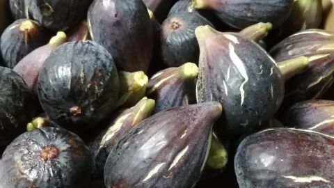 Junio es un mes cargado de eventos gastron&oacute;micos