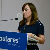 "Huesca languidece porque no hay proyecto de ciudad"