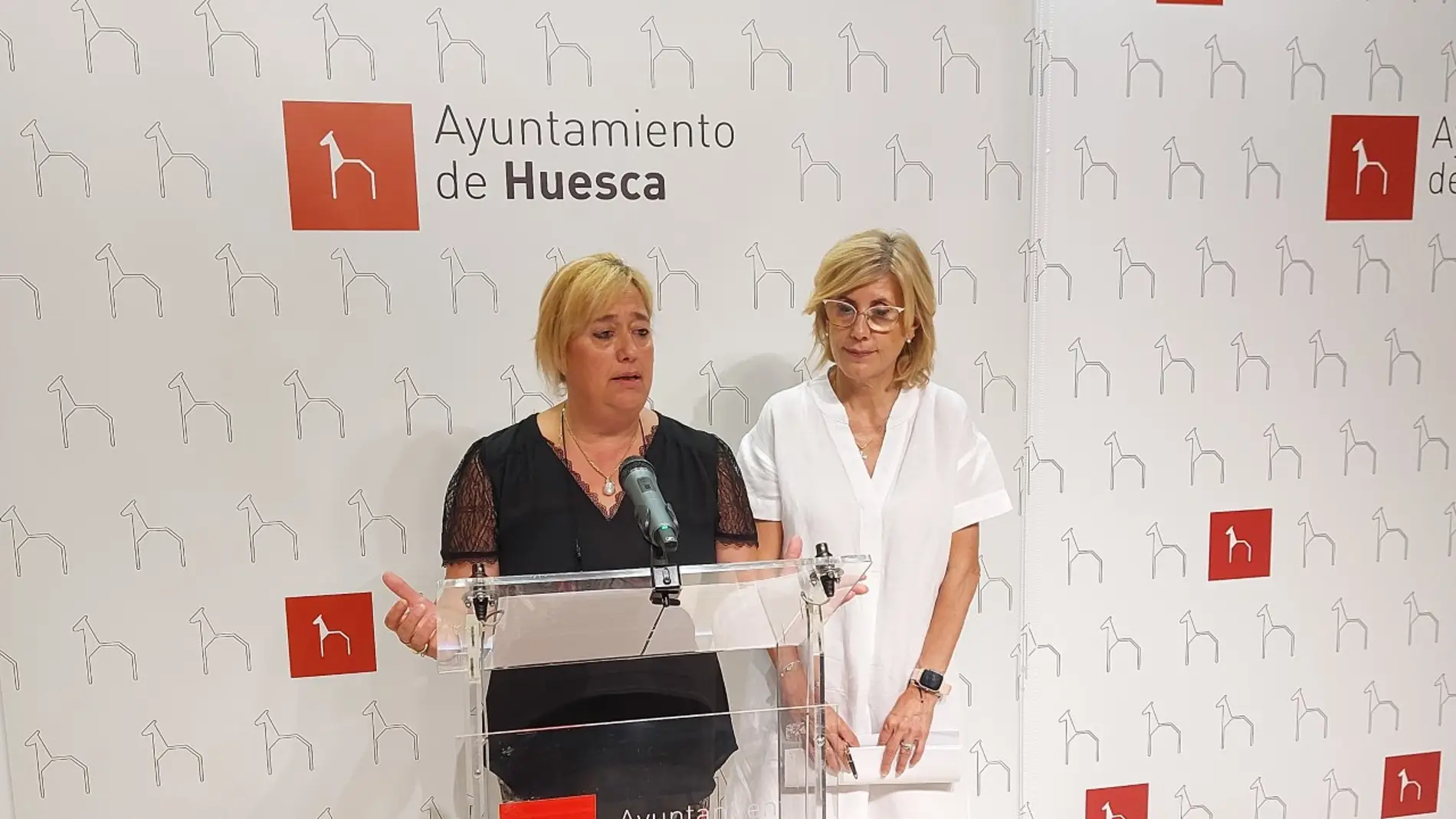 "Huesca por el Cine" busca crear oportunidades de negocio en la ciudad