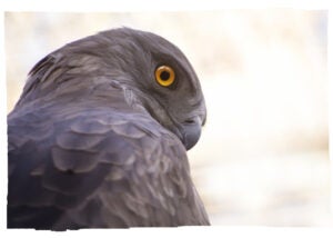 Noticias Córdoba matinal 15/06/2022 Noticias Córdoba matinal 15/06/2022