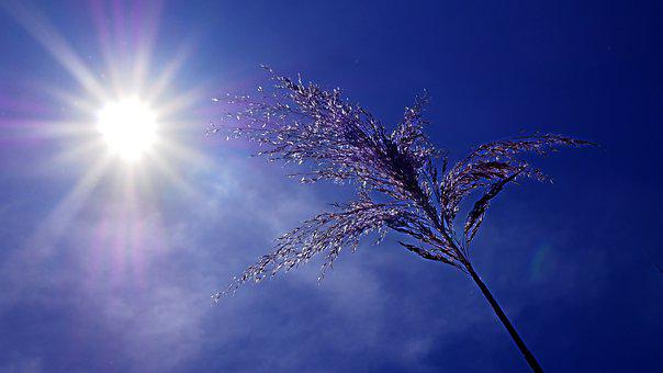 Consejos de Boticaria García ante las altas temperaturas Consejos de Boticaria García ante las altas temperaturas