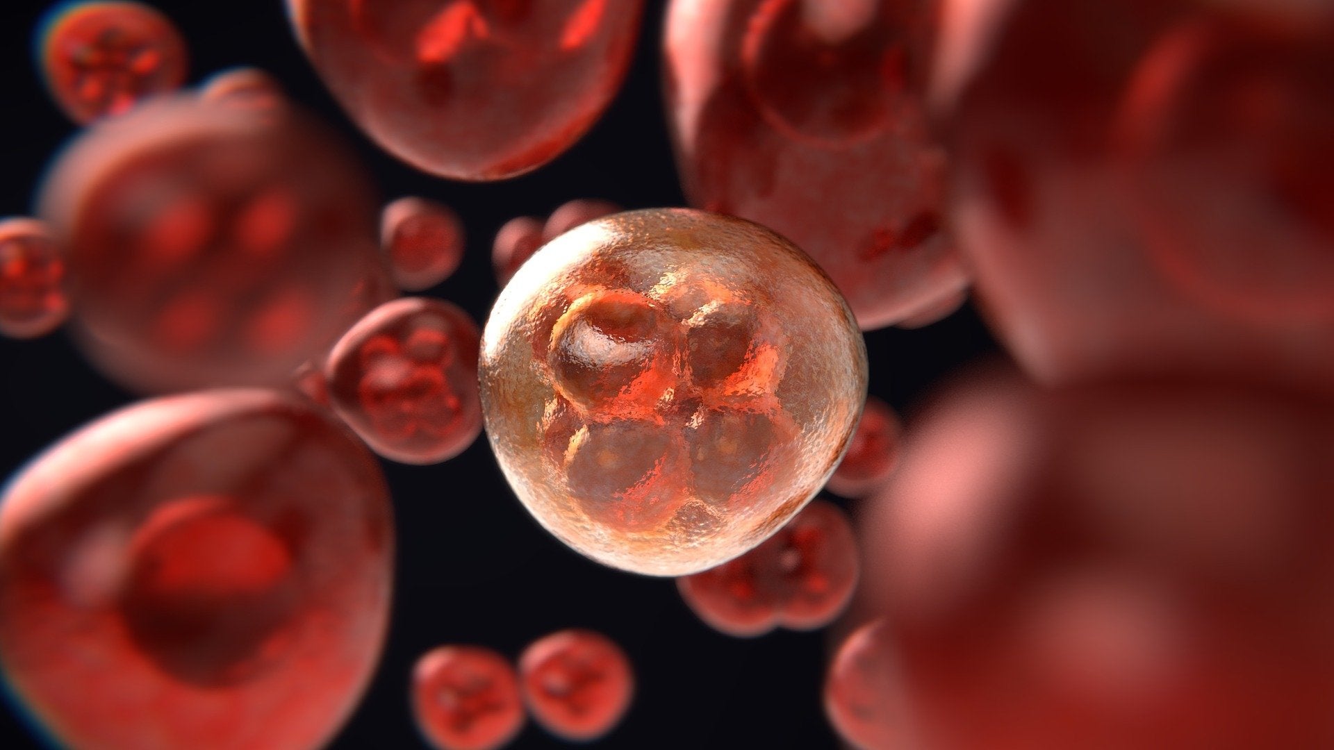 Un nuevo método permite descifrar el caos genético en cánceres agresivos y poder tratarlos de forma eficaz Un nuevo método permite descifrar el caos genético en cánceres agresivos y poder tratarlos de forma eficaz