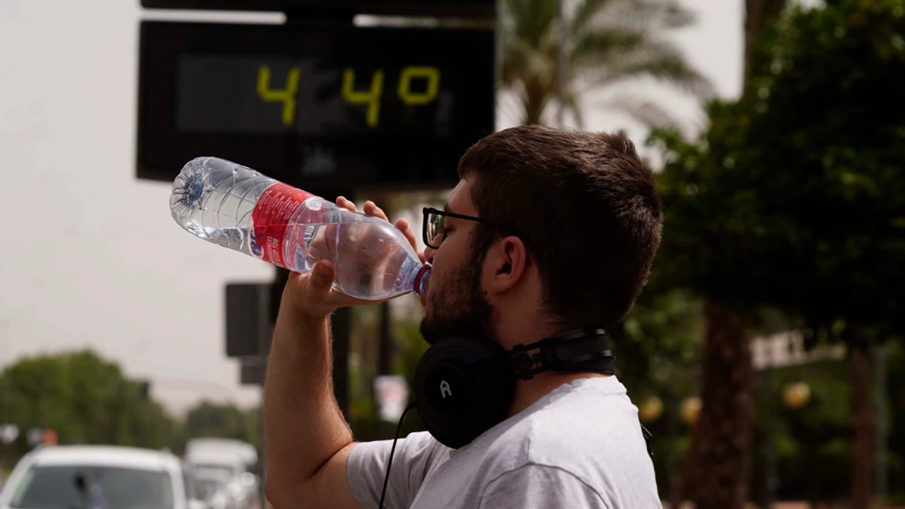 Ola de calor: los mejores memes que han dejado las altas temperaturas