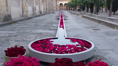 Creaci&oacute;n del Festival FLORA en el Patio de los Naranjos