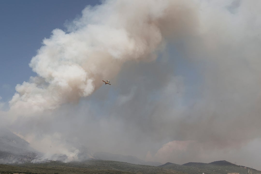 Los bomberos logran frenar el avance del incendio de la sierra de Leyre Los bomberos logran frenar el avance del incendio de la sierra de Leyre