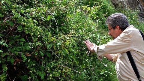 Enrique Salvo Tierra