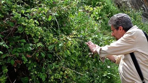 Enrique Salvo Tierra Enrique Salvo Tierra