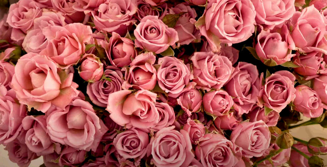 El Festival Internacional de las Flores lanza su convocatoria para artistas noveles El Festival Internacional de las Flores lanza su convocatoria para artistas noveles
