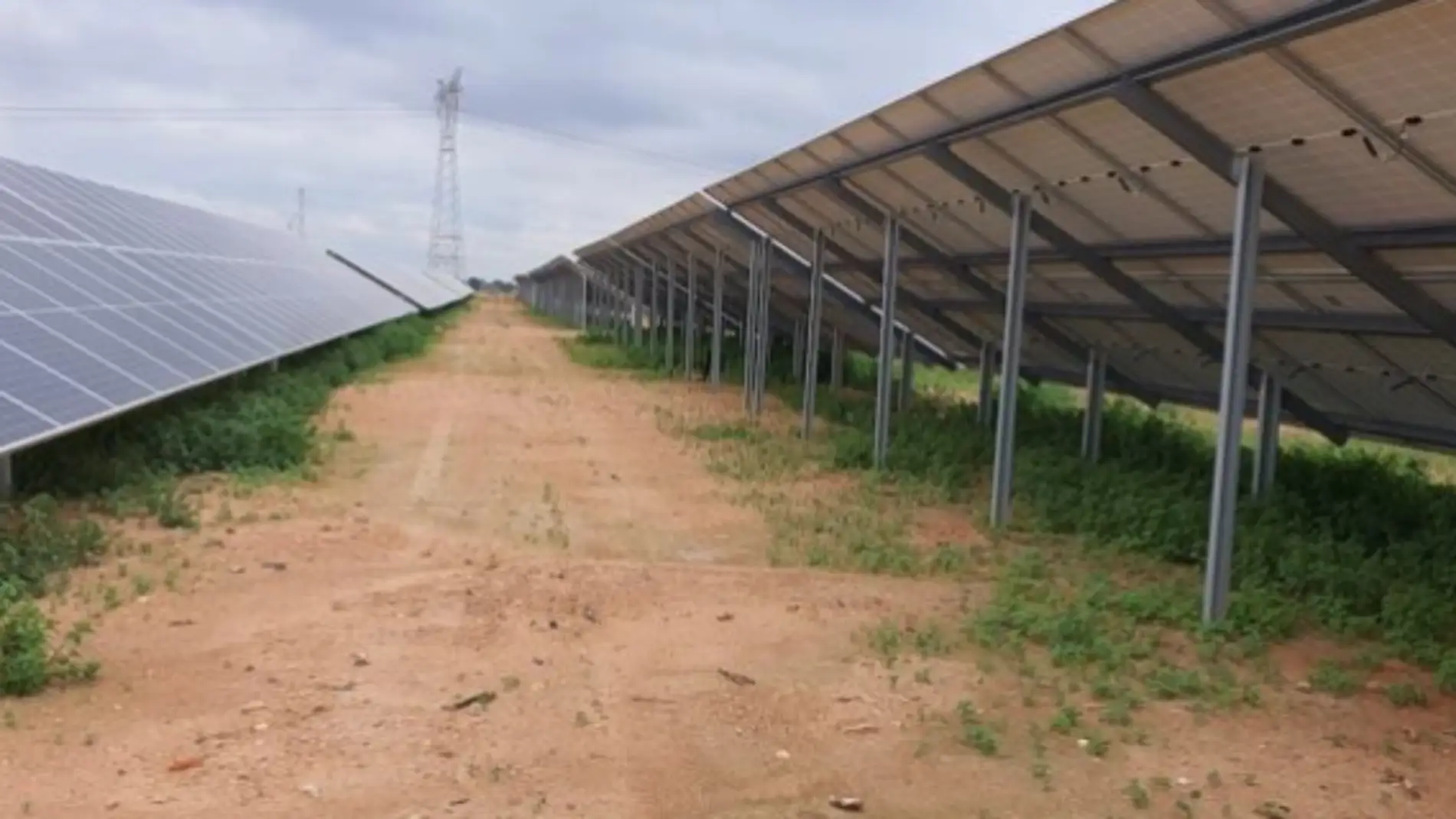 Las plantas fotovoltaicas proyectadas en Campo de Cartagena y entorno del Mar Menor ocupan casi 1000 hectáreas