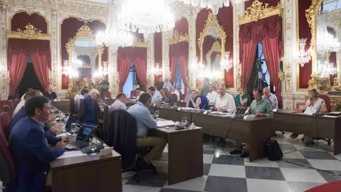 Pleno de la Diputación de Cádiz