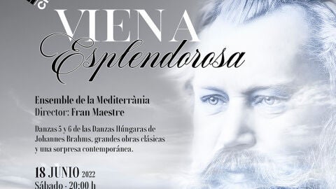 Cartel Concierto Brahms