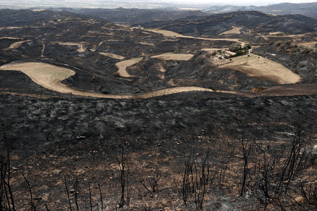 España en llamas: Este es el mapa de los grandes incendios del país España en llamas: Este es el mapa de los grandes incendios del país