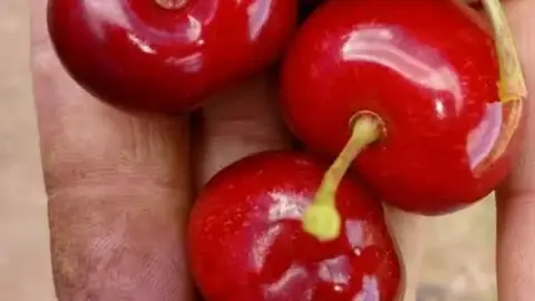 La Gastronomía en Onda Cero, con Sabor a Málaga, marca promocional de la Diputación Provincial La Gastronomía en Onda Cero, con Sabor a Málaga, marca promocional de la Diputación Provincial