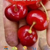 La Gastronomía en Onda Cero, con Sabor a Málaga, marca promocional de la Diputación Provincial