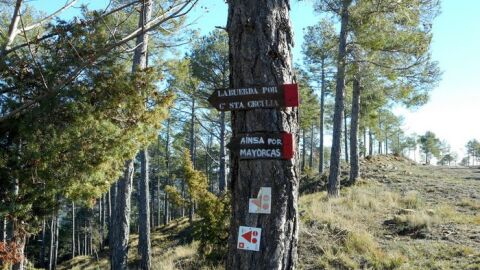 Zona de La Serreta de Aínsa