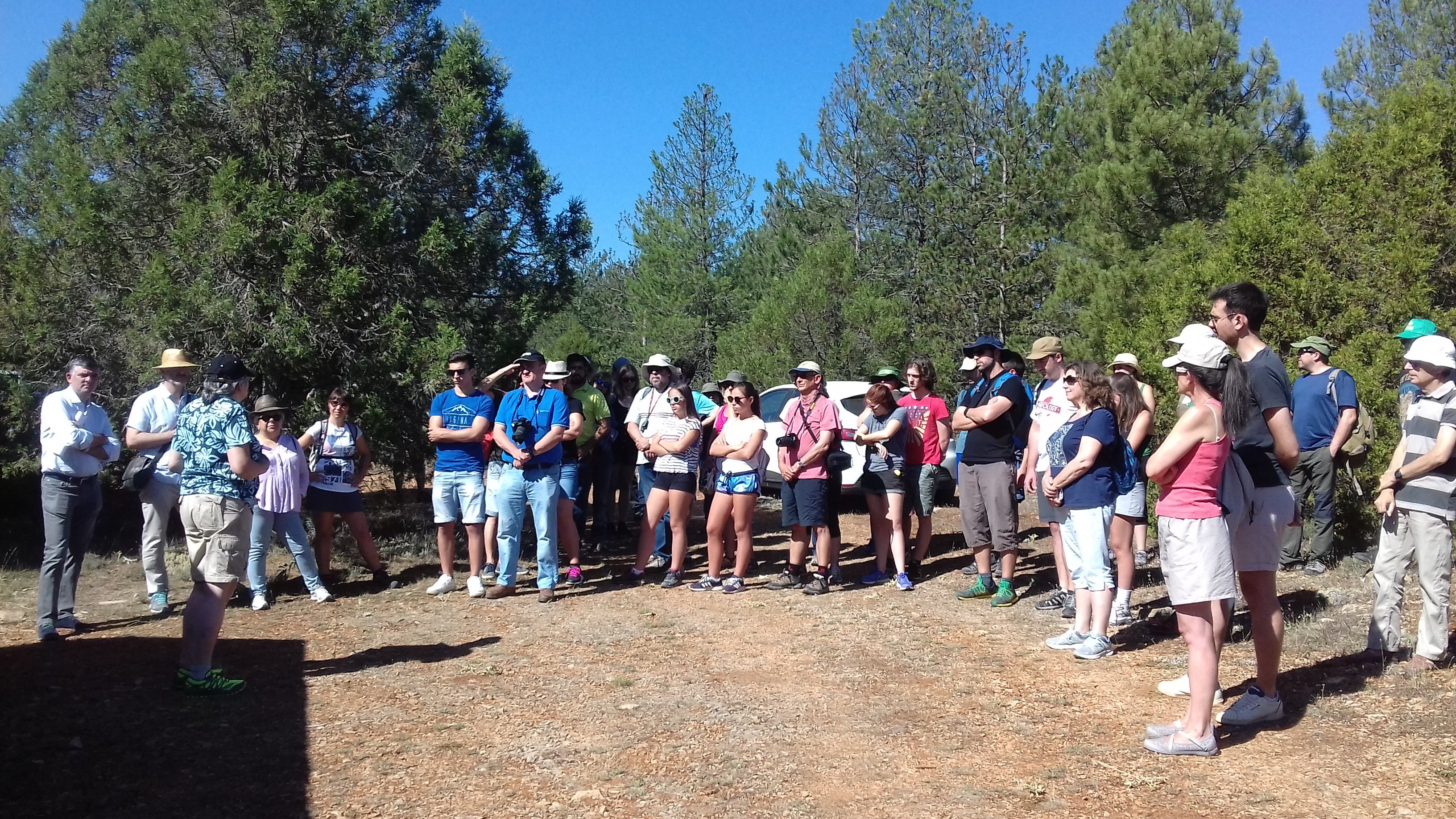 Retoman las visitas al yacimiento paleontológico de Las Hoyas, en La Cierva Retoman las visitas al yacimiento paleontológico de Las Hoyas, en La Cierva