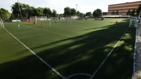 Once instalaciones deportivas de Alcalá de Henares acogen los partidos de la MADCUP 2022 Once instalaciones deportivas de Alcalá de Henares acogen los partidos de la MADCUP 2022