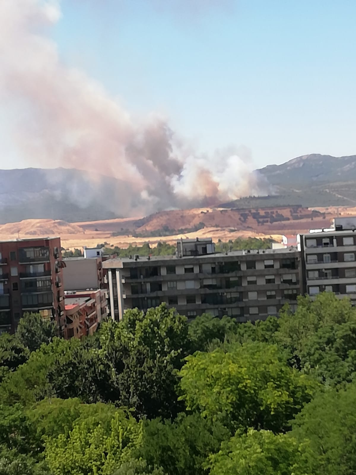 Declarado un incendio forestal cerca de Puertollano Declarado un incendio forestal cerca de Puertollano