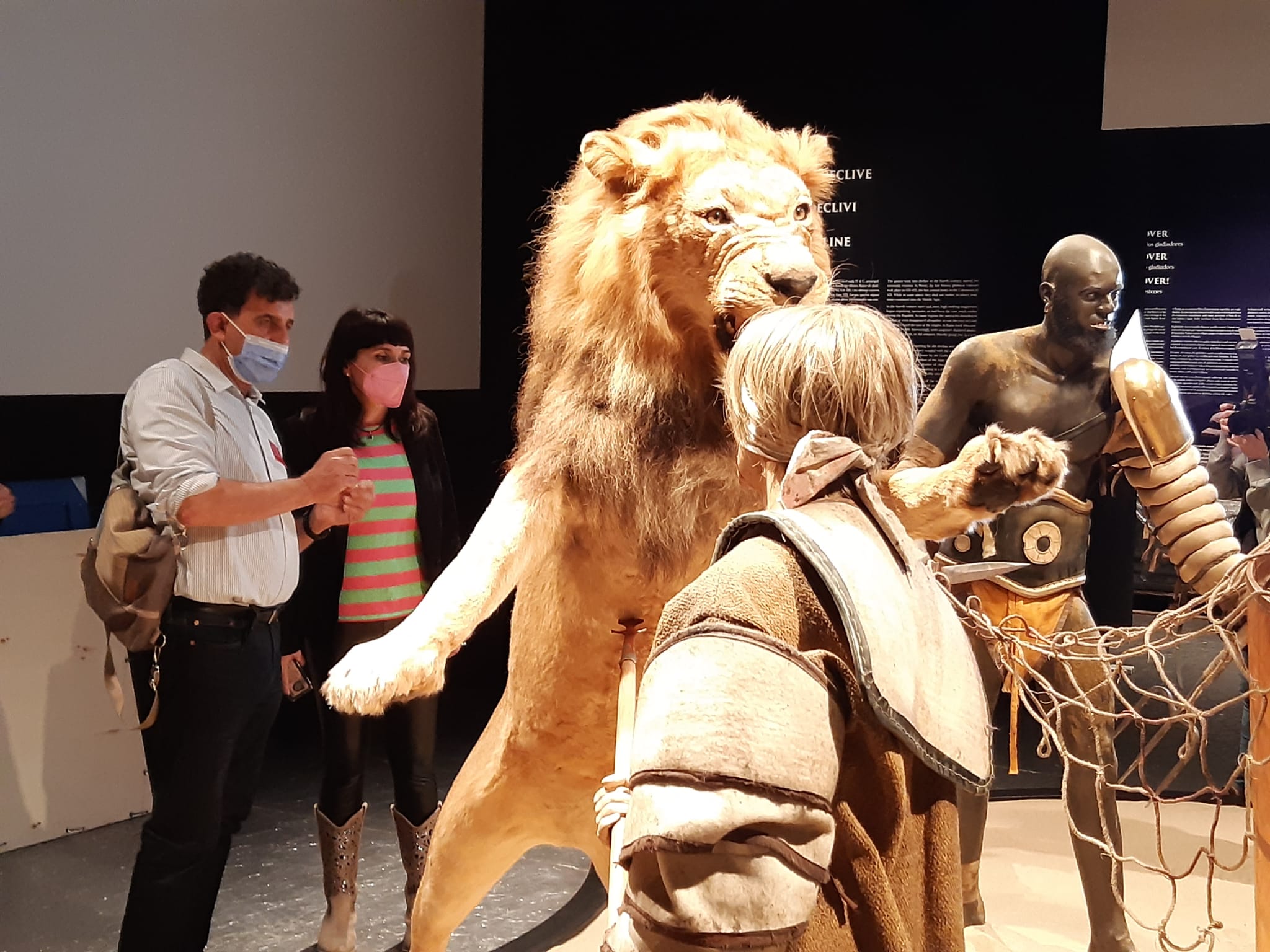 El Museo Arqueológico Provincial de Alicante prorroga la exposición 'Gladiadores' hasta el 20 de noviembre El Museo Arqueológico Provincial de Alicante prorroga la exposición 'Gladiadores' hasta el 20 de noviembre