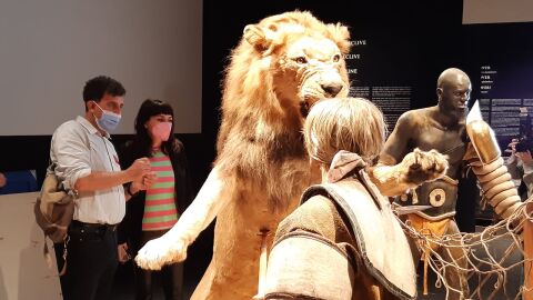 Una de las salas más visitadas de la exposición &#39;Gladiadores&#39; en el MARQ 