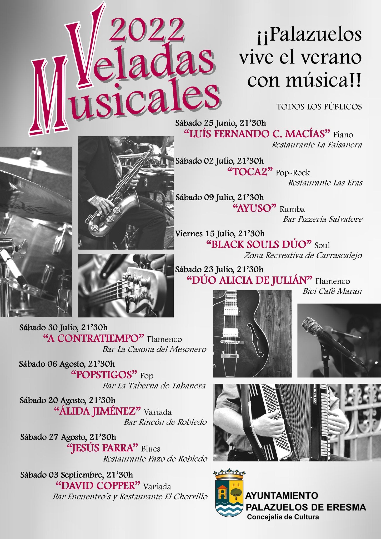Veladas musicales en Palazuelos de Eresma Veladas musicales en Palazuelos de Eresma