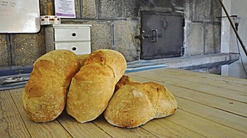 pan de cea