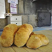 pan de cea pan de cea
