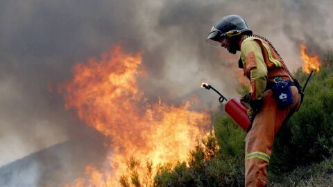 Incendios forestales activos en Espa&ntilde;a, en directo hoy: desalojos y &uacute;ltima hora en &Aacute;vila, Tenerife y Las Hurdes (C&aacute;ceres)