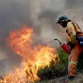 Incendios forestales activos en España, en directo hoy: desalojos y última hora en Ávila, Tenerife y Las Hurdes (Cáceres) Incendios forestales activos en España, en directo hoy: desalojos y última hora en Ávila, Tenerife y Las Hurdes (Cáceres)
