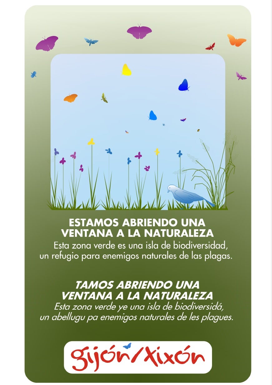 El Ayuntamiento inicia una experiencia piloto de reducción de siega para favorecer la biodiversidad El Ayuntamiento inicia una experiencia piloto de reducción de siega para favorecer la biodiversidad