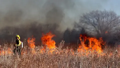 Catalunya s’enfronta a un estiu d’elevat risc d’incendi Catalunya s’enfronta a un estiu d’elevat risc d’incendi