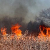 Catalunya s’enfronta a un estiu d’elevat risc d’incendi