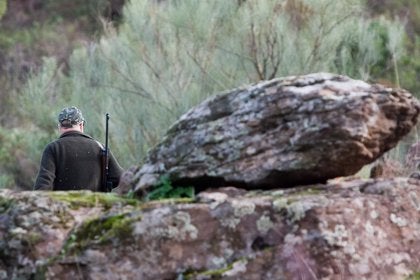La Montería y la Rehala en Extremadura ya son oficialmente Bien de Interés Cultural La Montería y la Rehala en Extremadura ya son oficialmente Bien de Interés Cultural