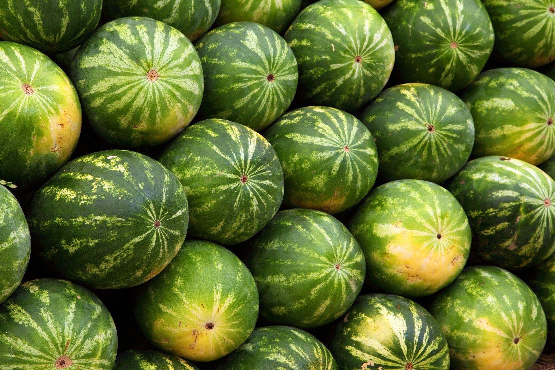 Las mejores recetas con melón: cómo prepararlo y conservarlo para que dure más Las mejores recetas con melón: cómo prepararlo y conservarlo para que dure más