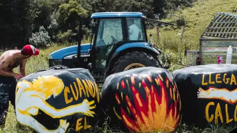 Bolas de silo decoradas Bolas de silo decoradas