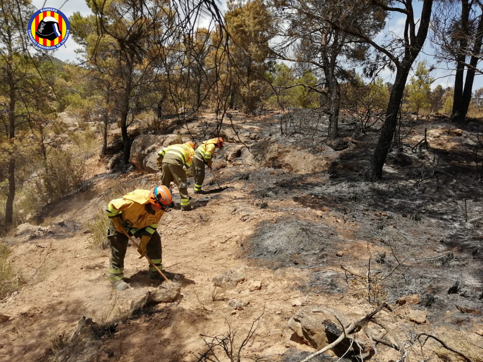 Estabilizado el incendio de Venta del Moro tras arrasar 1.300 hectáreas Estabilizado el incendio de Venta del Moro tras arrasar 1.300 hectáreas