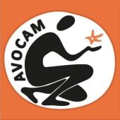 Sagunto Avocam
