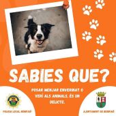 El Ayuntamiento de Benifaió denuncia la presencia de veneno