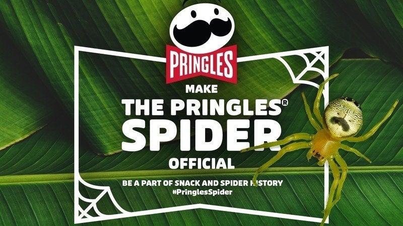 Saima, la araña de Pakistán: "Dicen que nuestro diseño se parece mucho al logo de las patatas Pringles" Saima, la araña de Pakistán: "Dicen que nuestro diseño se parece mucho al logo de las patatas Pringles"