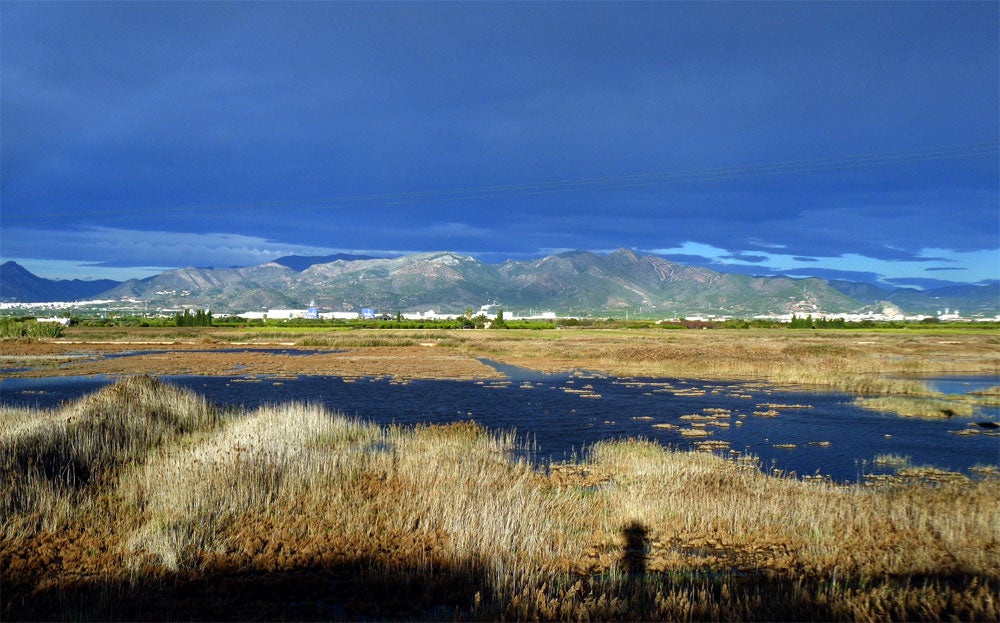 La Fiscalía de Castellón abre diligencias de investigación por la supuesta desecación de la finca del Pou de Nules La Fiscalía de Castellón abre diligencias de investigación por la supuesta desecación de la finca del Pou de Nules