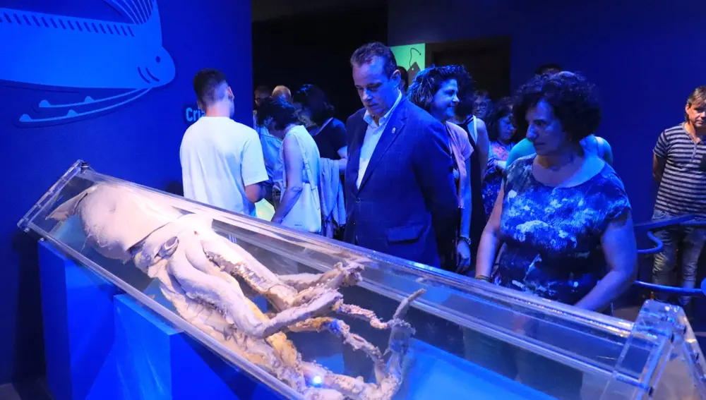 Marcelino Márquez y Berta Piñan, observando un calamar gigante.