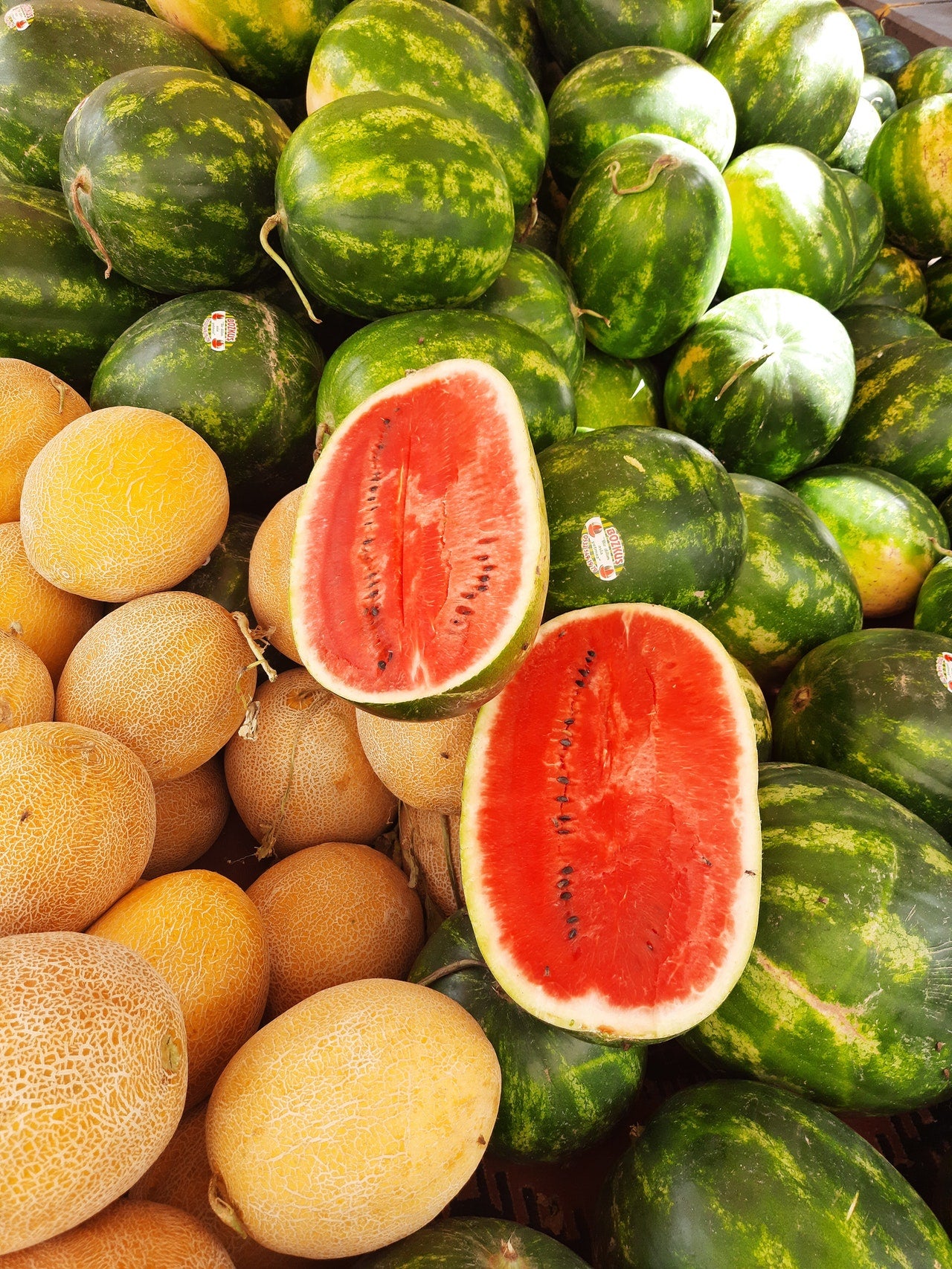 Melón o sandía: ¿Cuál engorda más? Melón o sandía: ¿Cuál engorda más?